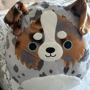 Squishmallows Australian Shepherd / Aussie XL